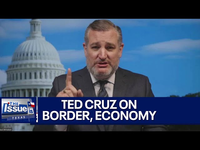 Ted Cruz on immigration and the economy | Texas: The Issue Is