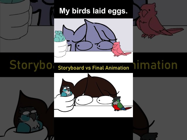 Storyboard vs Animation: My Birds Laid Eggs (shot 3)