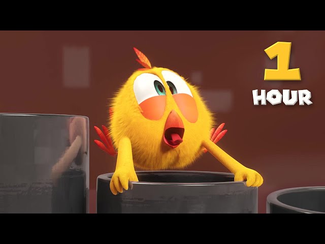 Funny adventure | Where's Chicky? | 1 HOUR Cartoon Collection in English for Kids | New episodes HD