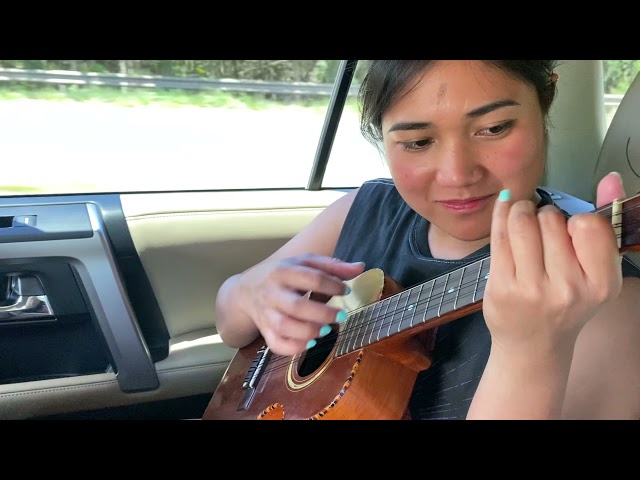 Hawaii Car Jams - 8 String Ukulele - 500 Covers