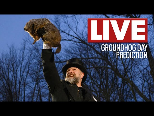 🔴Groundhog Day 2025 live: Punxsutawney Phil's prediction and more