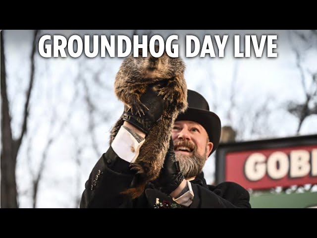 LIVE: Will Punxsutawney Phil sees his shadow this Groundhog Day?