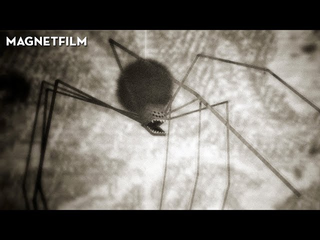 Arachmaninoff | A Short Film by  René Lange