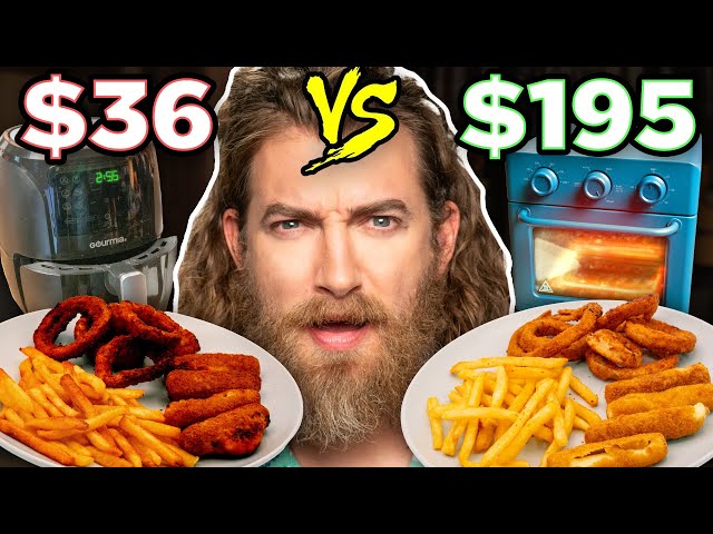 $36 vs. $195 Air Fryer Taste Test