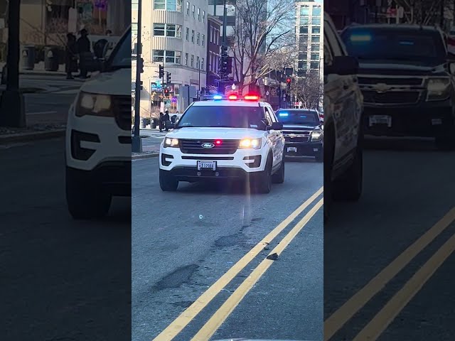 Motorcade Washington DC #automobile