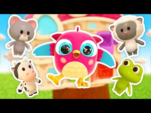 🔴 Baby cartoons & Baby videos LIVE. Full episodes cartoon for kids with Hop Hop the Owl