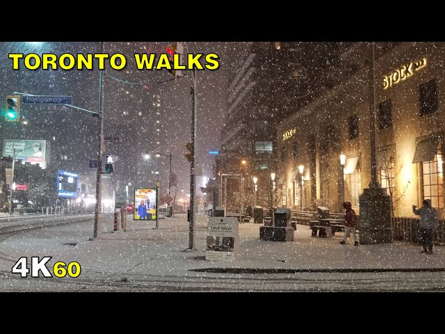 Toronto's First Snowfall of the Season Walk on November 1, 2020