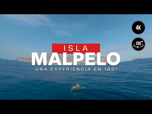 Viva la inmensidad de Malpelo en una experiencia virtual de 180 grados