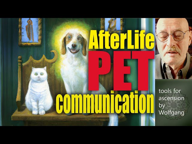 Connect with Your Deceased Pets | Afterlife Communication Meditation