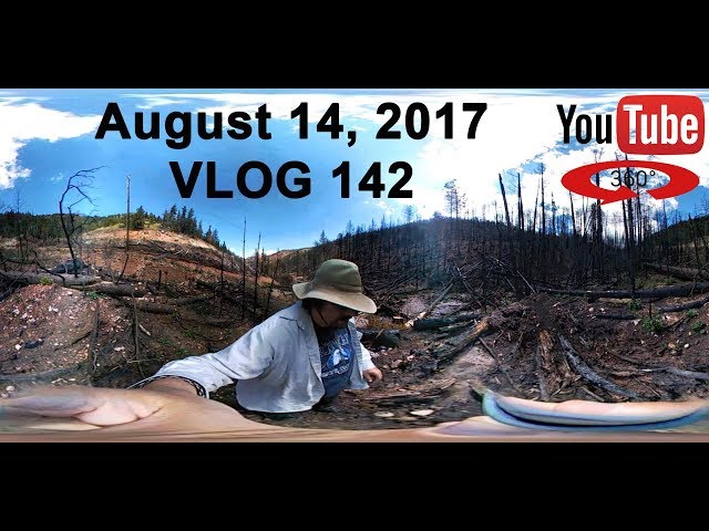 Burnt Out Forests, Petroglyphs, and Beaver Tacos  - A 360 Vlog