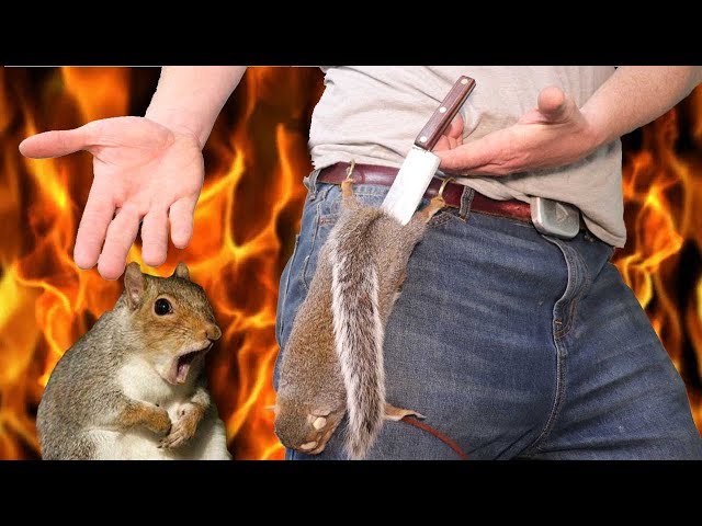 Making Knife & Sheath from Squirrel - Forging the Squirrel Blade!