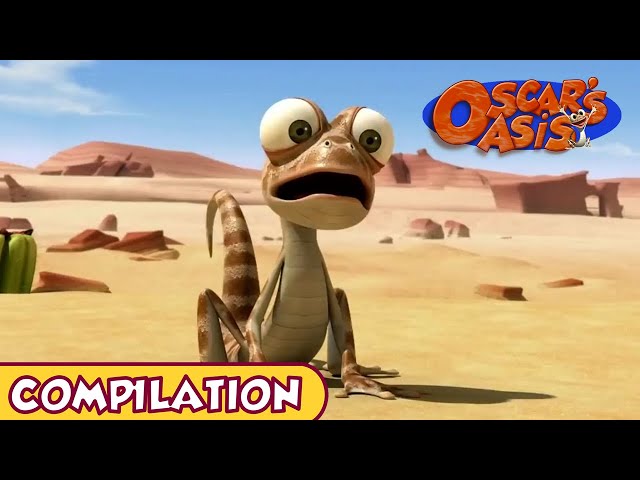 Oscar's Oasis - January COMPILATION