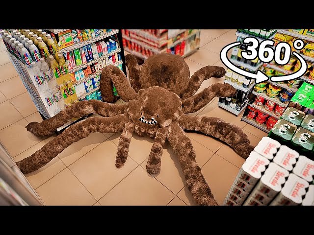 360° Spiders appear in the Supermarket!