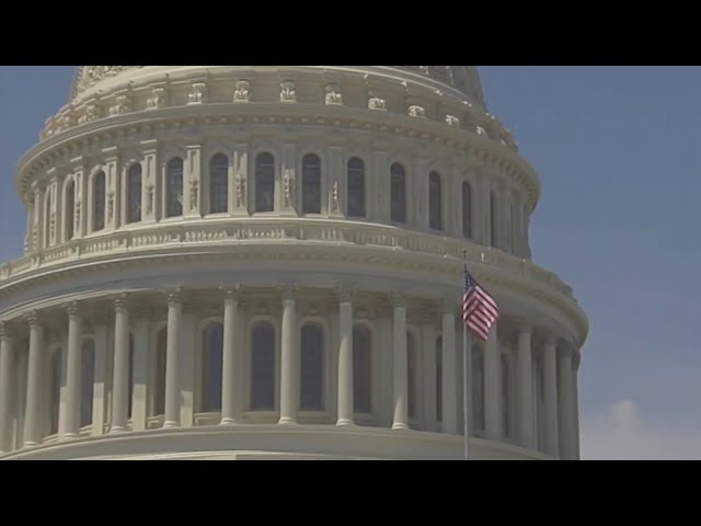 Confusion surrounds Trump actions on federal workforce, funding: The News4 Rundown | NBC4 Washington