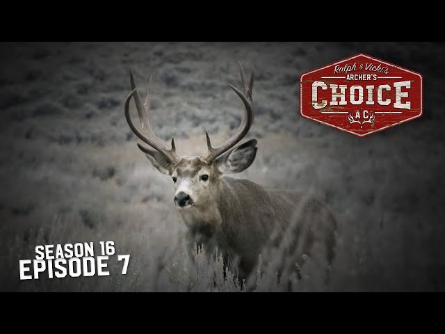 Washington Mule Deer With Ralph & Vicki - Archer’s Choice (Full Episode) // S16: Episode 7