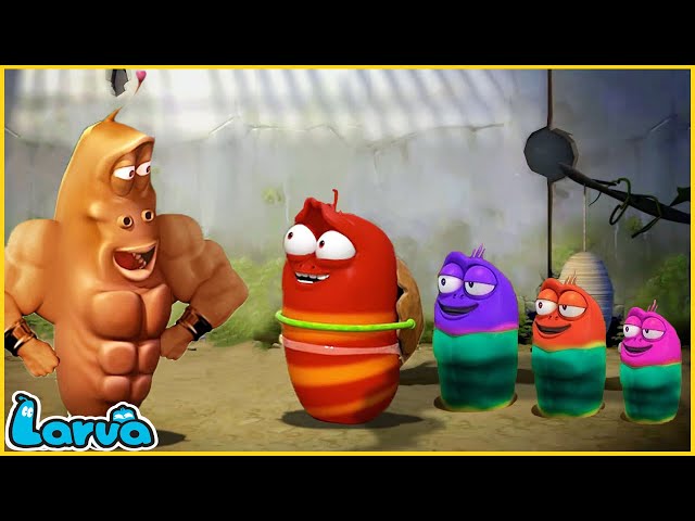 LARVA | Red and Yellow | CARTOON MOVIE FOR LIFE |THE BEST OF CARTOON | HILARIOUS CARTOON COMPILATION