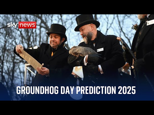 Punxsutawney Phil makes 2025 Groundhog Day prediction