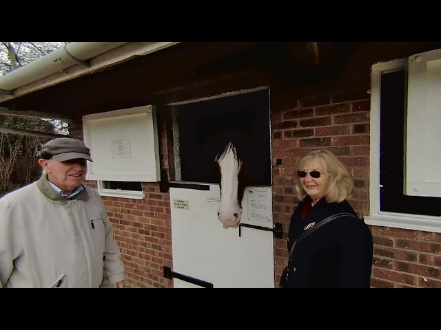 3D Journey Through Hillside Horse Sanctuary: A Tranquil Encounter Calf Visinse