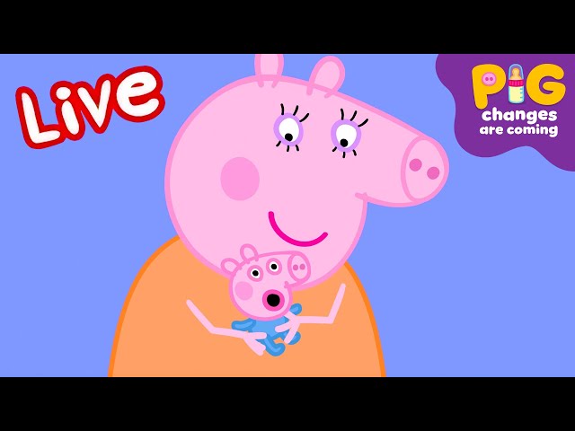 Peppa Pig BABY Episodes LIVE 🍼🧸 Pig Changes are Coming! ⭐️ Kids Cartoons #ExpectingPigChanges