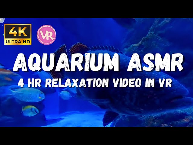 Fish Tank Sounds For Sleep: 4 Hrs Relaxing Aquarium 4K, Underwater ambience