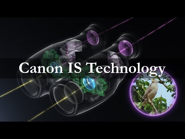 Binoculars Technology "Image Stabilizer (IS)"  (CanonOfficial)