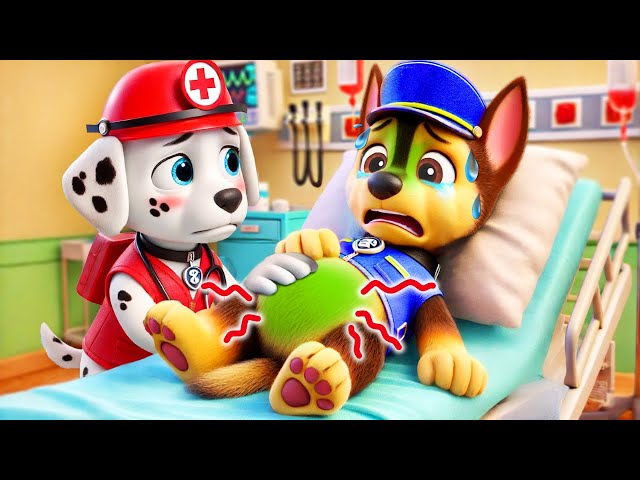 CHASE Is In The Hospital? What Happened?! | Paw Patrol The Mighty Movie| So Sad Story | Rainbow 3