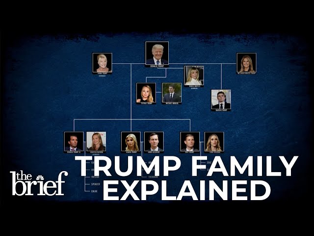 Trump family explained: What role will Donald Trump's family play in his presidency?