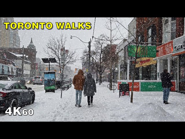 Big Winter Snowfall Walk in Downtown Toronto - January, 2020 [4K]