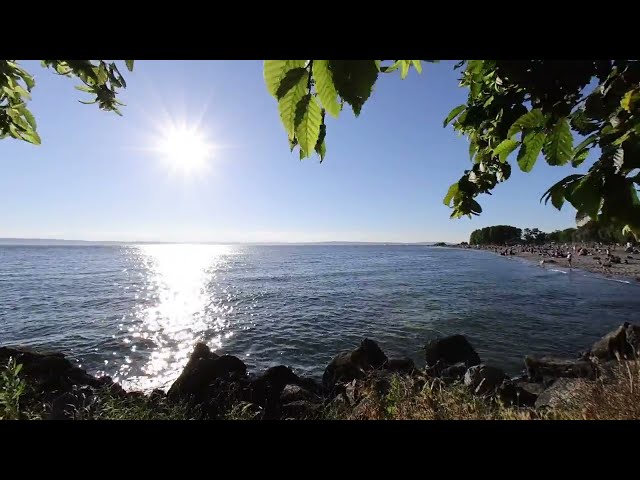 3D VR 180° 4K Walking Shilshole Beach in Seattle test clip 1235