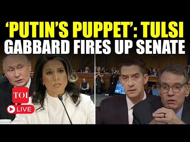 LIVE | Tulsi Gabbard’s Fiery Response Stuns Senators: ‘Never Trump Supporter’ | Trump Latest News