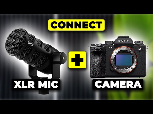 How To Connect An XLR Microphone To A Camera