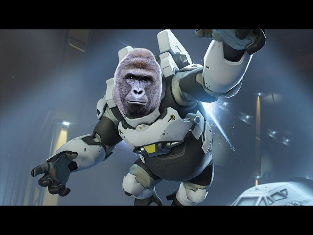 [YTP] Overwatch - Harambe gets 360 noscoped