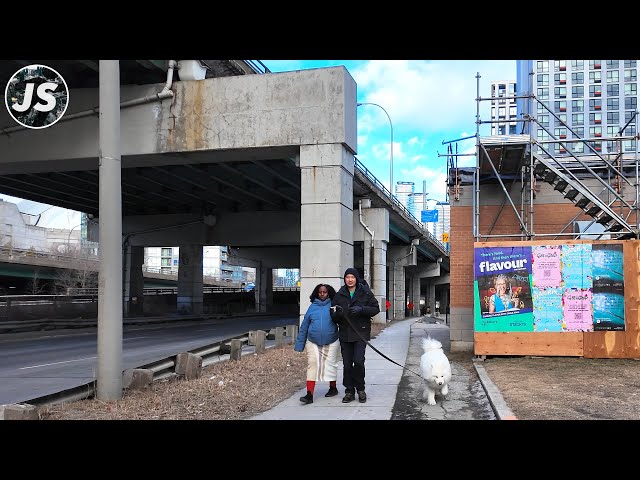 Lake Shore Under the Crumbling Gardiner Expressway | Toronto Walk (Jan 2025)