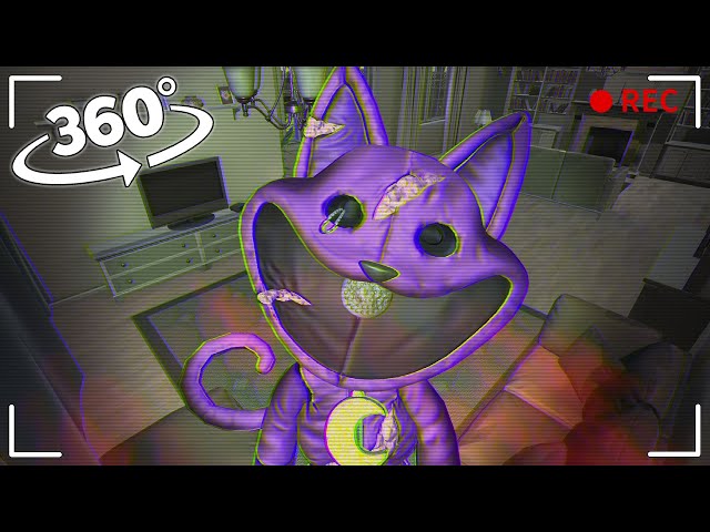 CATNAP in house! CCTV Film 360° VR