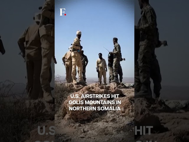 US Strikes in Somalia Neutralise "Key" IS Figures: Regional Govt | N18G