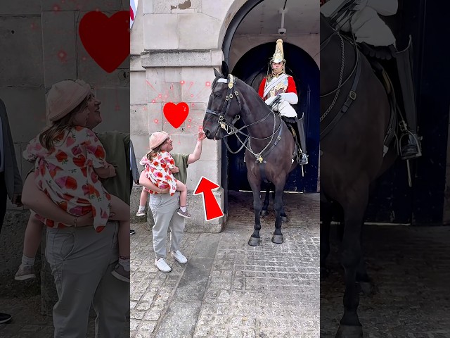 AN UNFORGETTABLE CONNECTION: REGAL HORSES SHARE A SWEET MOMENT OF MAGIC! #SHORTS