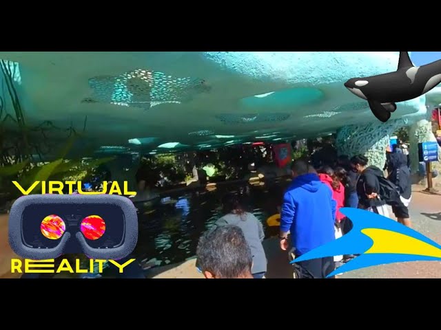 VR180 San Diego Seaworld Experience Feb 27 2021