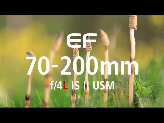 EF70-200mm f/4L IS II USM "Small but Powerful" (CanonOfficial)