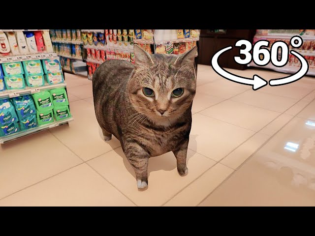 360° OIIAOIIA Cat appear in the Supermarket!