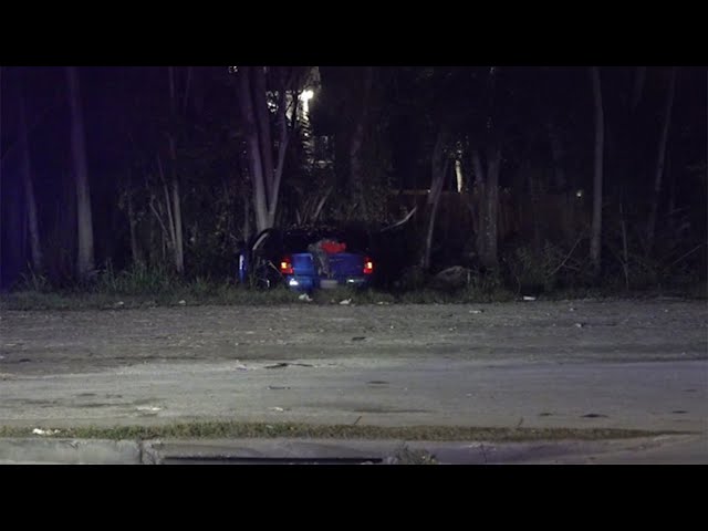 HPD: Woman dead after driving wrong way near Houston's South Side, hitting tree