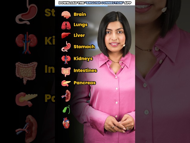 Internal Organs of Human Body 🧠 | Spoken English Vocabulary | Kanchan English Connection #shorts