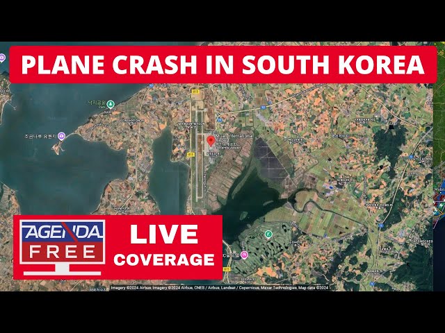 Plane Crash in South Korea - LIVE Updates & Breaking News Coverage