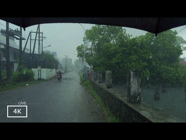 Goodbye Restlessness to Sleep Fast with  Rain Sounds | ASMR Rain Walk for Sleep and Meditation