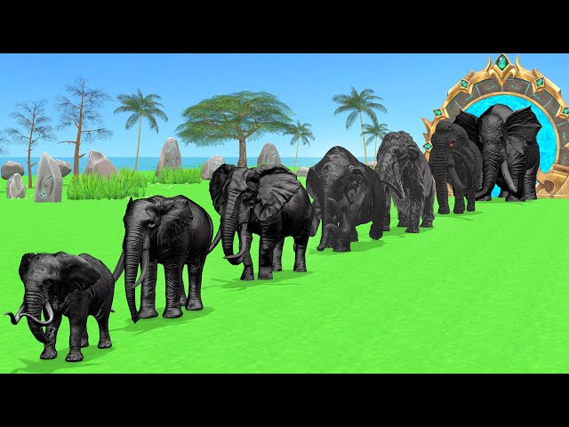 Paint Animals Mammoth, Elephants Size Comparison Fountain Crossing Animal Transformation Cartoon