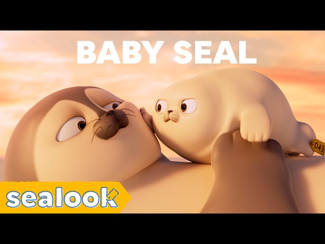 CUTENESS EXPLOSION | Baby Seal Special | SEALOOK | Episodes Compilation