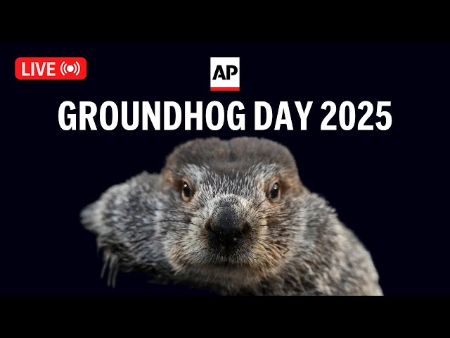 Groundhog Day 2025 LIVE: Watch Punxsutawney Phil's annual prediction