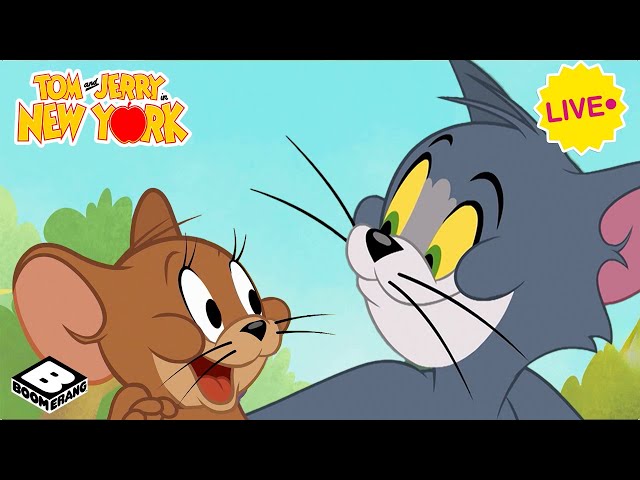 🔴 LIVE: TOM and JERRY in NY | 24 Hours of Tom & Jerry | #tomandjerry #animation #cartoons