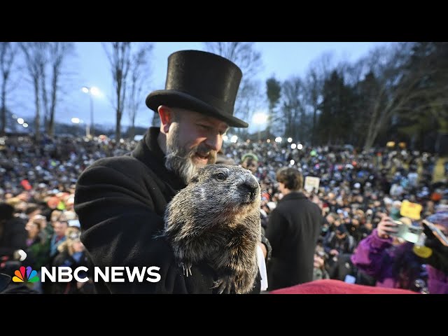 LIVE: Punxsutawney Phil makes 2025 Groundhog Day prediction | NBC News