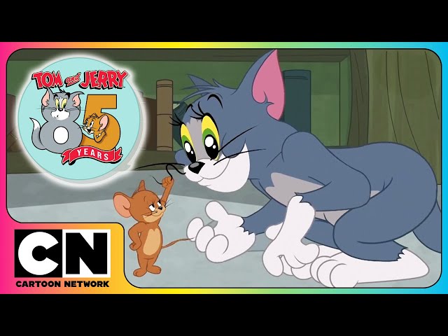 👀 Spot Your Favorite Episode! | 85 Years of Tom 😺 and Jerry 🐭 | Cartoon Network Asia