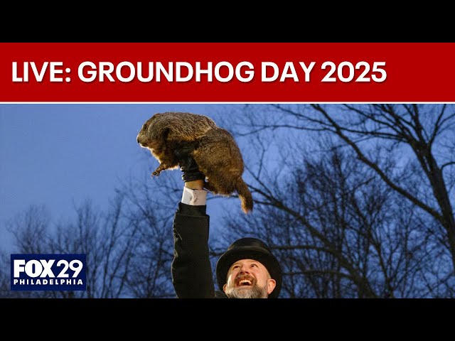 LIVE: Groundhog Day 2025 | FOX 29 News Philadelphia